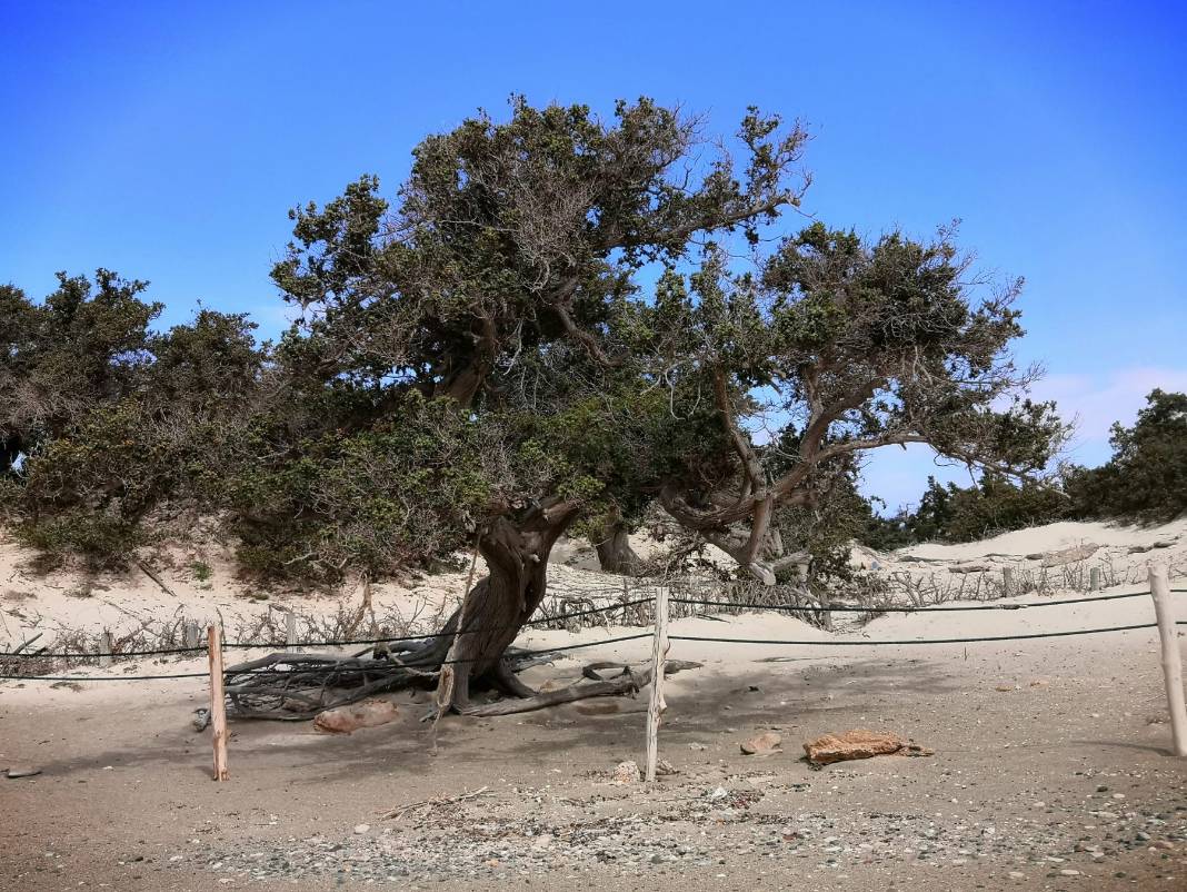 Νήσος Χρυσή: Καθαρισμός στερεών αποβλήτων από τον ΟΦΥΠΕΚΑ και την Περιφέρεια Κρήτης