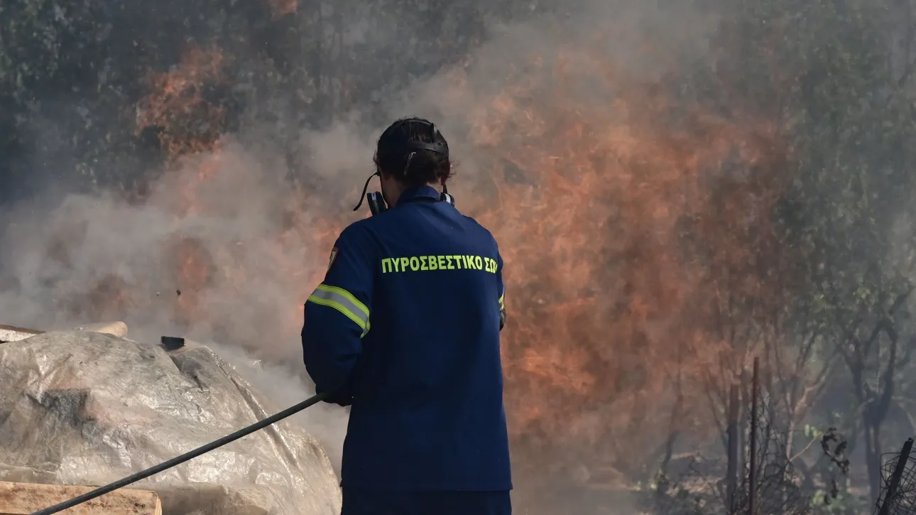 Ήπειρος: Τρεις πυρκαγιές αντιμετωπίστηκαν άμεσα από την Πυροσβεστική το Σαββατοκύριακο