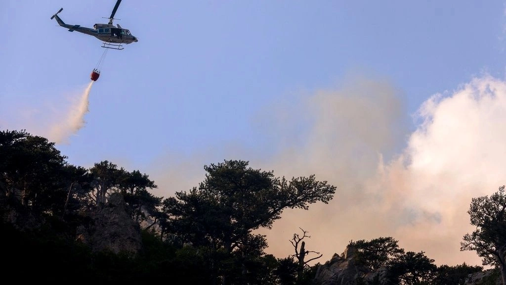 Φωτιά σε δασική έκταση στη Ρόδο: Αυξήθηκαν τα εναέρια μέσα – Βελτιωμένη η εικόνα