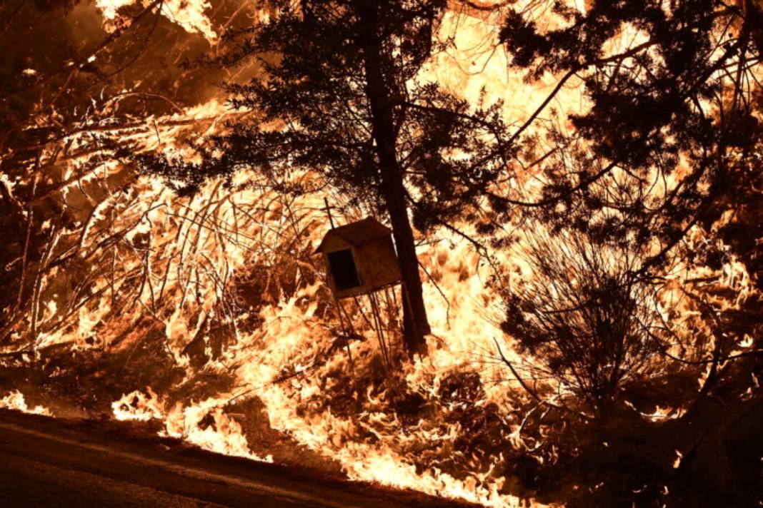 Οδηγίες του Ιατρικού Συλλόγου Αθηνών για μέτρα προστασίας των πολιτών στις πληγείσες περιοχές