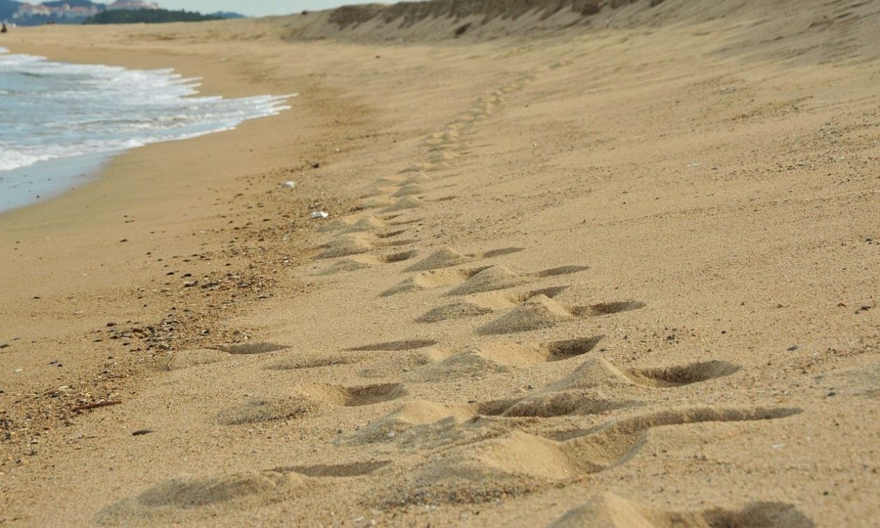 Δανία: Παιδιά θάφτηκαν κάτω από αμμόλοφους – Οι αρχές προειδοποιούν για τον κίνδυνο κατολισθήσεων