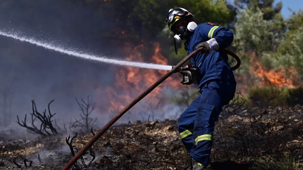 Φωτιά σε δασική έκταση στις Μέσες Θέρμες Ξάνθης
