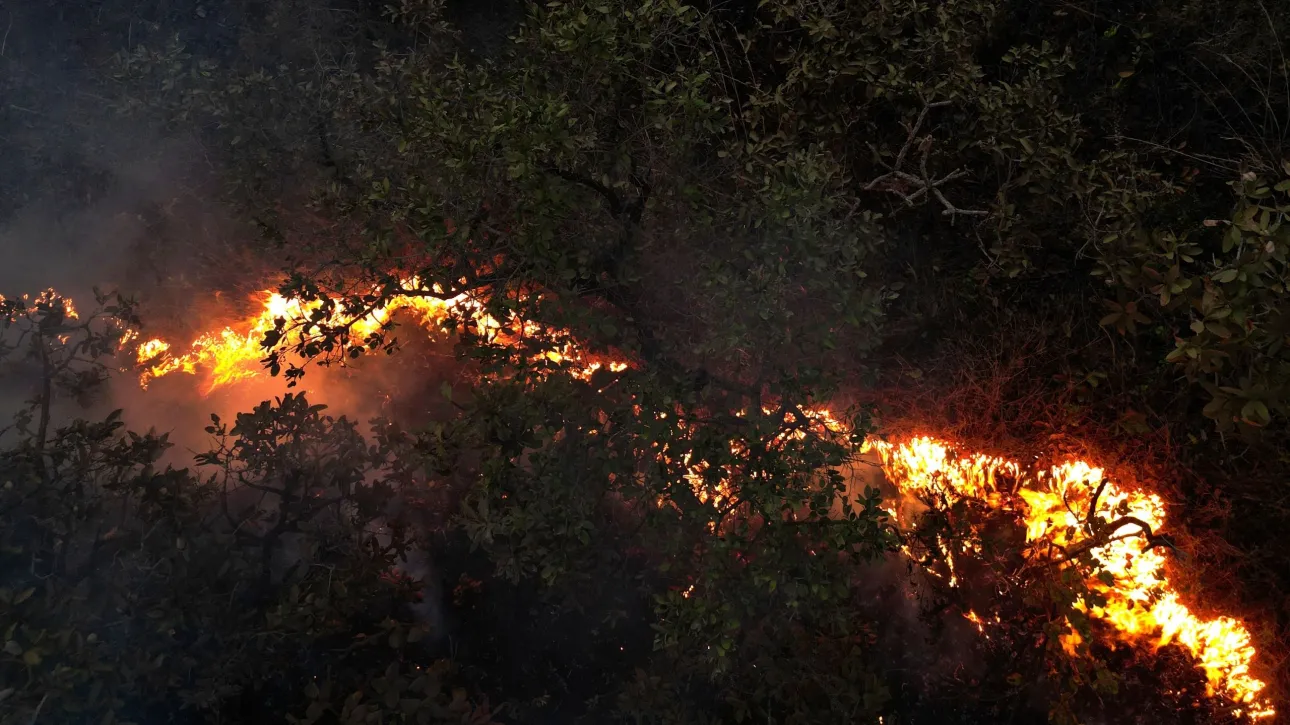 Η Βραζιλία «σε πόλεμο» με τις πυρκαγιές – Σε κατάσταση εκτάκτου ανάγκης 45 πόλεις