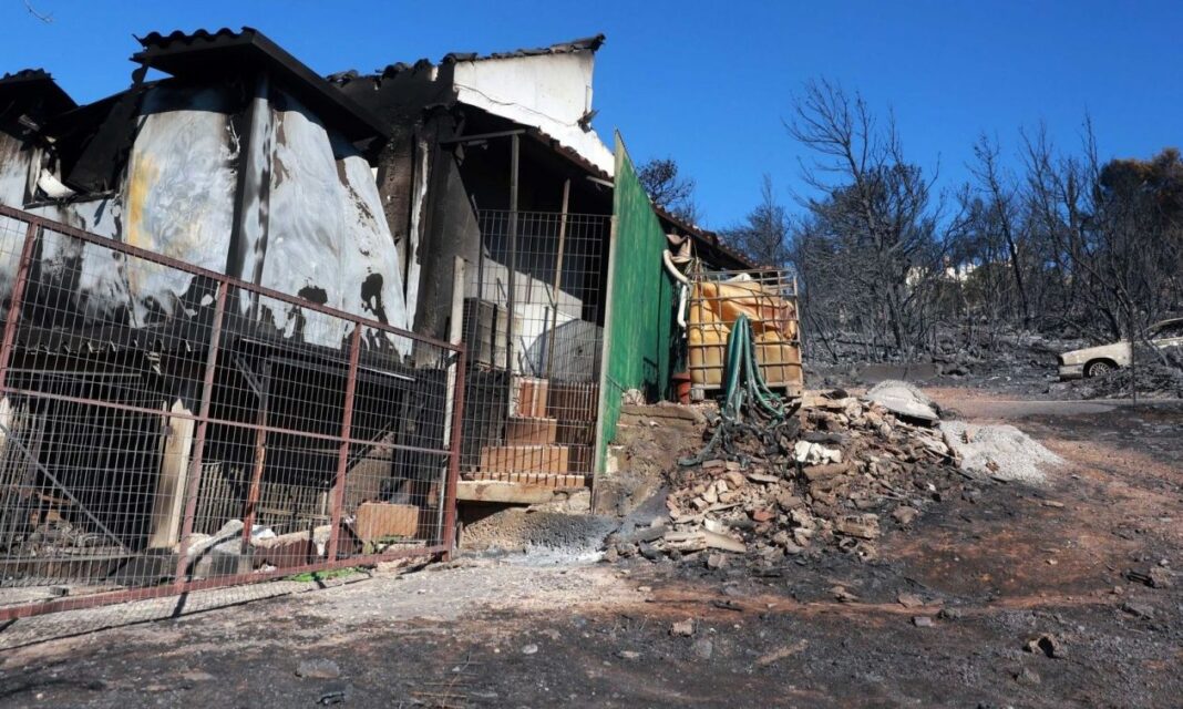 Φωτιά στην Αττική: Ολοκληρώθηκαν μέσα σε λίγες ώρες οι αυτοψίες όλων των πυρόπληκτων επιχειρήσεων