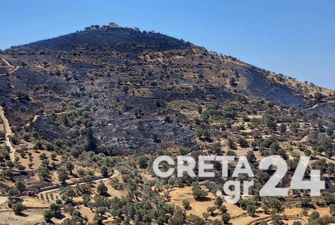 Δήμος Αμαρίου: έως τις 30 Αυγούστου οι δηλώσεις ζημιάς που προέκυψαν από την πυρκαγιά στο φυτικό κεφάλαιο