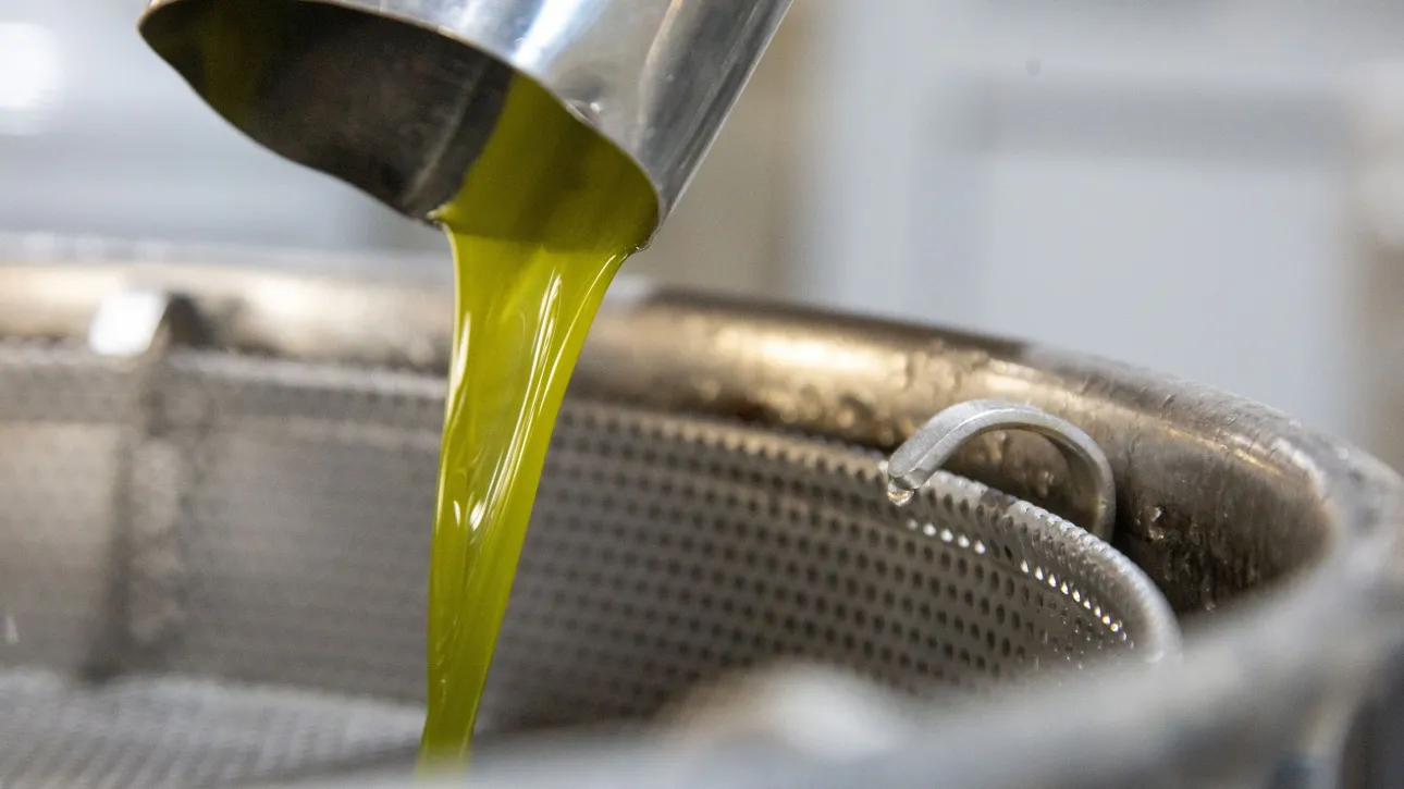 Ελαιόλαδο: Πού οδηγεί τις τιμές η φετινή παραγωγή – Τι να περιμένουν οι καταναλωτές