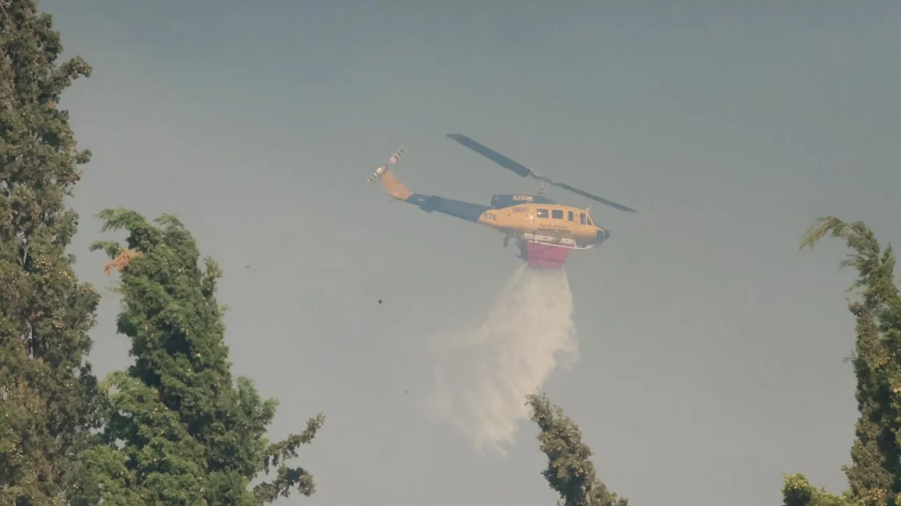 Χαλκιδική: Απαγόρευση κυκλοφορίας σε Κασσάνδρα, Σιθωνία και Αριστοτέλη λόγω κινδύνου πυρκαγιάς