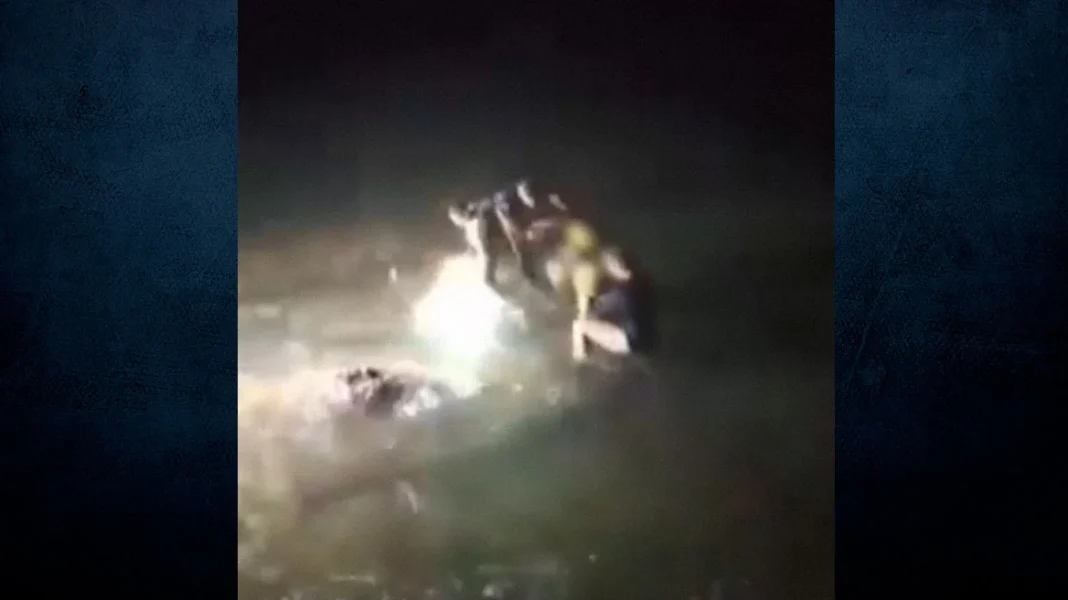 Βίντεο: Η στιγμή που αστυνομικοί της ΔΙΑΣ σώζουν άνθρωπο που έχει μπλεχτεί σε παραγάδι στη θάλασσα