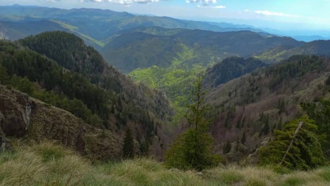 Μετά από 77 χρόνια βρέθηκε στο δάσος Φρακτού μαχητικό αεροσκάφος