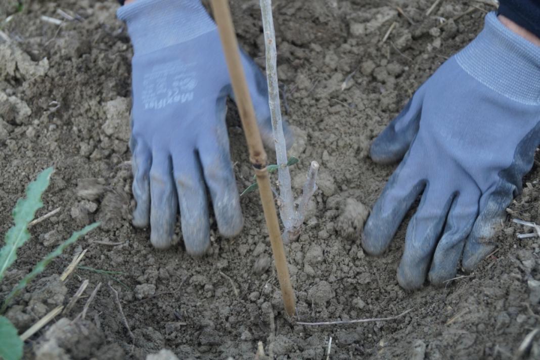 Με βία εξανάγκαζε μετανάστες να δουλεύουν χωρίς να τους πληρώνει