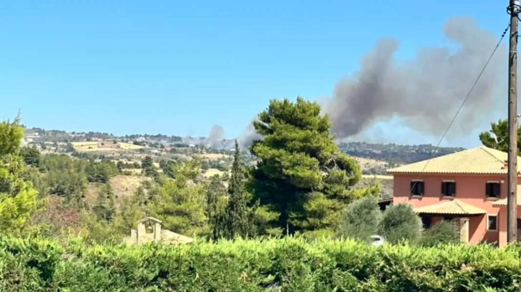 Φωτιά κοντά σε σπίτια στον Βαρνάβα και μήνυμα από το 112 για εκκένωση – Μέτωπα και σε Μέγαρα, Φιλιάτες και Λαγκαδά