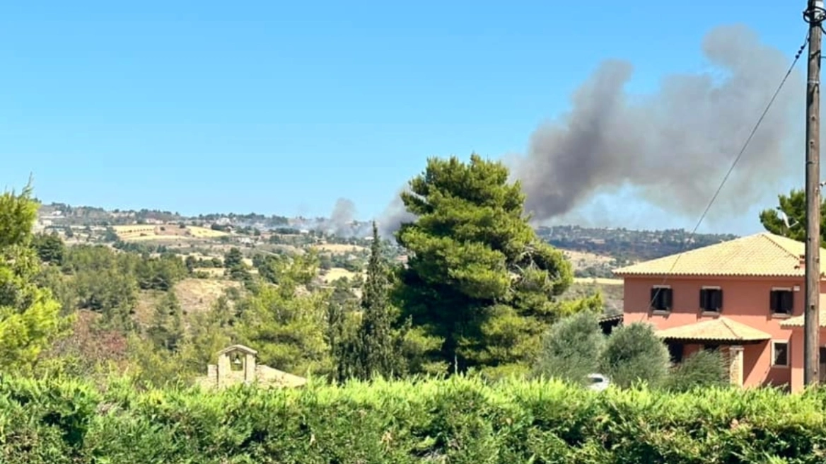Φωτιά κοντά σε σπίτια στον Βαρνάβα και μήνυμα από το 112 για εκκένωση – Μέτωπα και σε Μέγαρα, Φιλιάτες και Λαγκαδά