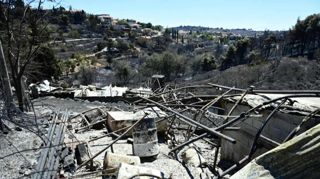 ΕΚΠΑ: Ξεκινά καταγραφή των επιπτώσεων της πυρκαγιάς στην Πεντέλη