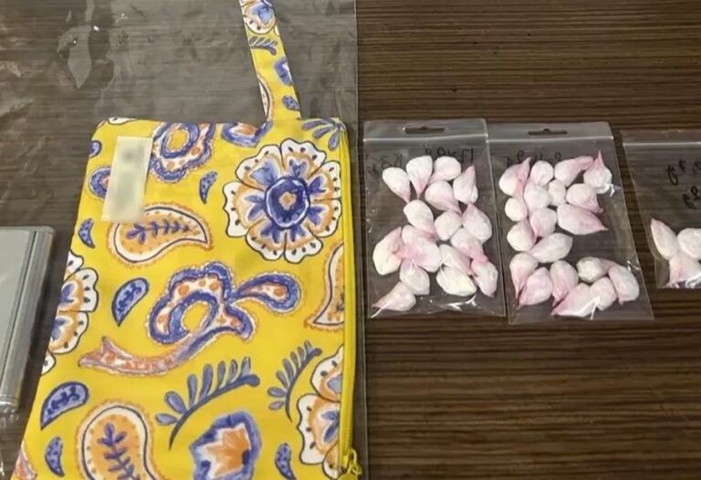 Πώς η Δίωξη Ναρκωτικών έφτασε στα ίχνη της 29χρονης δικηγόρου με την κοκαΐνη