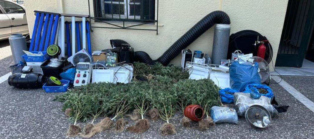 Εντοπίστηκε εργαστήριο κάνναβης με 30 δενδρύλλια που έφταναν το 1,5 μέτρο