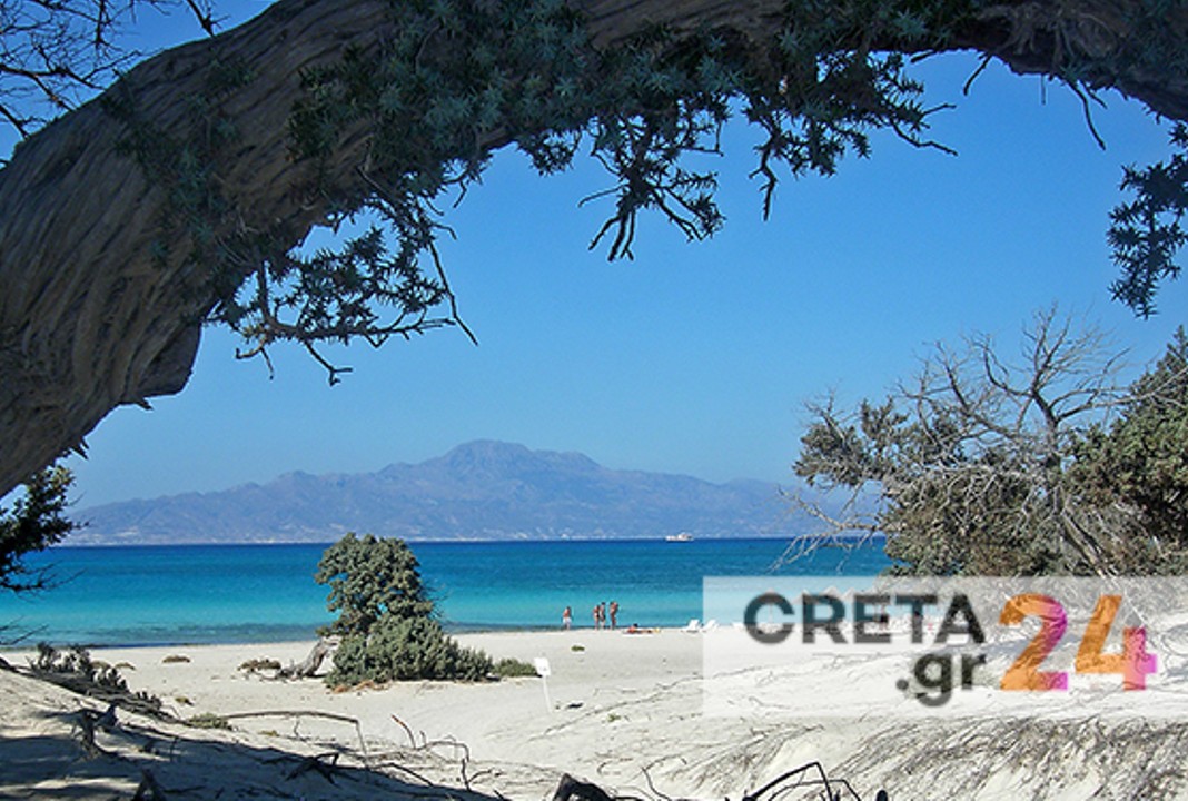 Αυτοψία στη νήσο Χρυσή – Μεγάλος μέρος του Κεδροδάσους έχει ξεραθεί