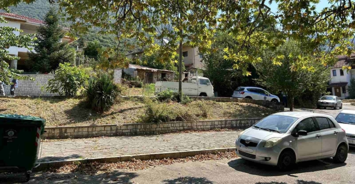 Ο ανιψιός ομολόγησε τη δολοφονία της 62χρονης