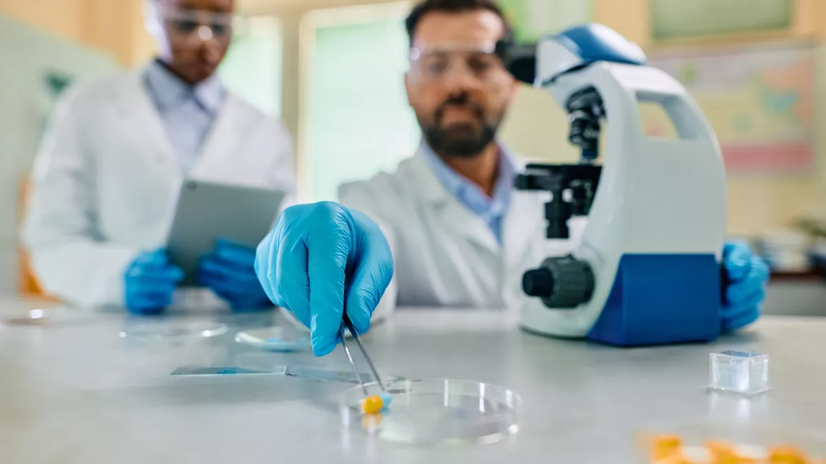 Ήπαρ: Πειραματικό φάρμακο το «καθαρίζει» από λίπη και ρυθμίζει χοληστερόλη και τριγλυκερίδια