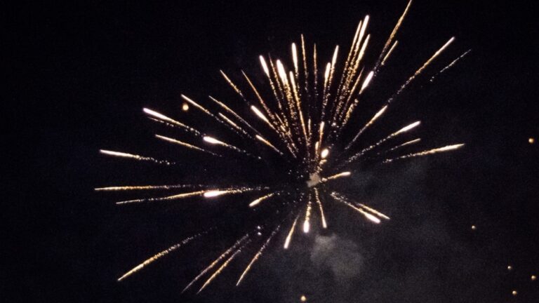 Σύλληψη και τσουχτερό πρόστιμο σε πολίτη που έκανε ρίψη βεγγαλικών κοντά σε δασική περιοχή