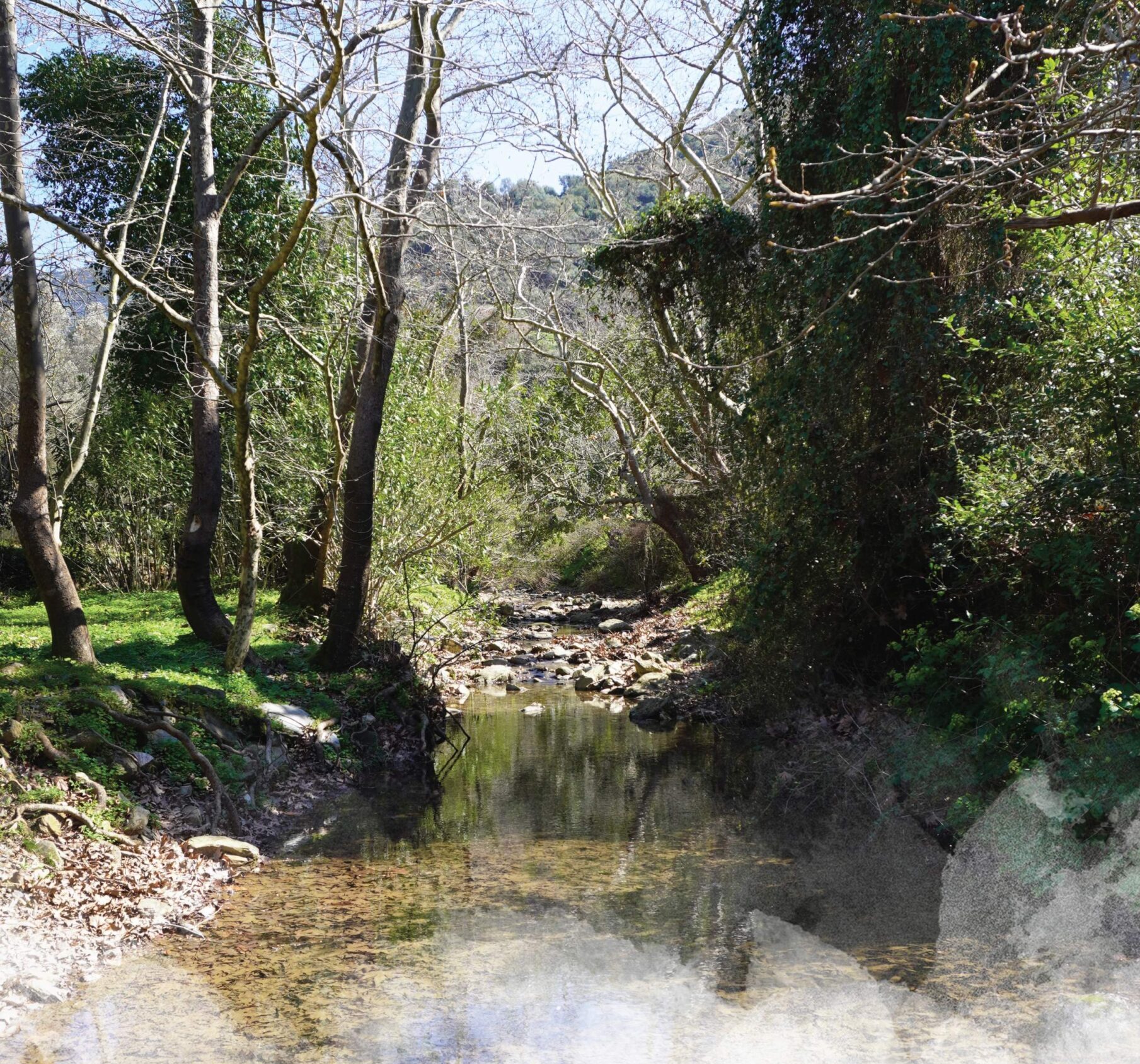 Στο Φόδελε Παρασκευή και Σάββατο η 4η Γιορτή Γεωπάρκου Ψηλορείτη 