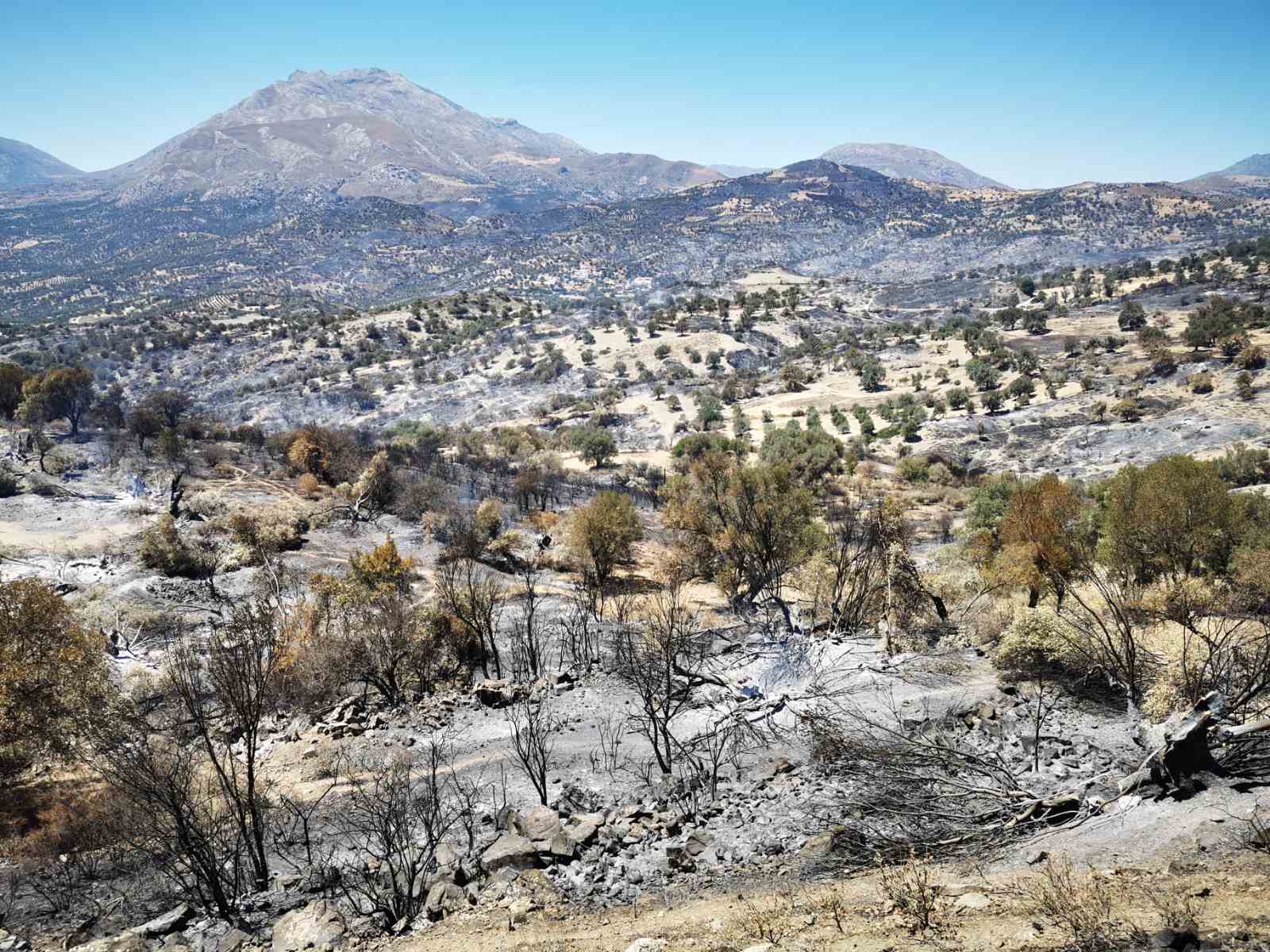 Συνεχίζεται η στήριξη στους πληγέντες των πυρόπληκτων περιοχών του Δήμου Αμαρίου