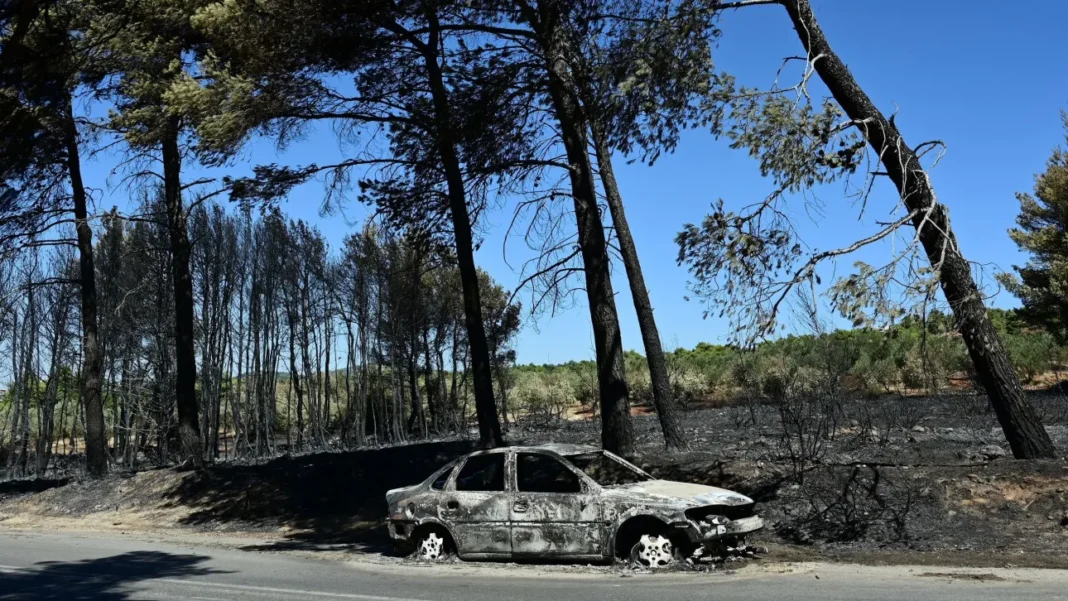 Πότε τίθεται σε ισχύ η υποχρεωτική ασφάλιση για τα αυτοκίνητα – Ποιος αποφασίζει για την αποζημίωση