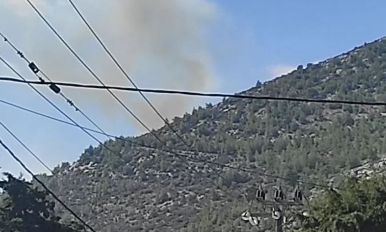Στοχευμένες οι φωτιές που φέρεται να έβαζε ο 16χρονος