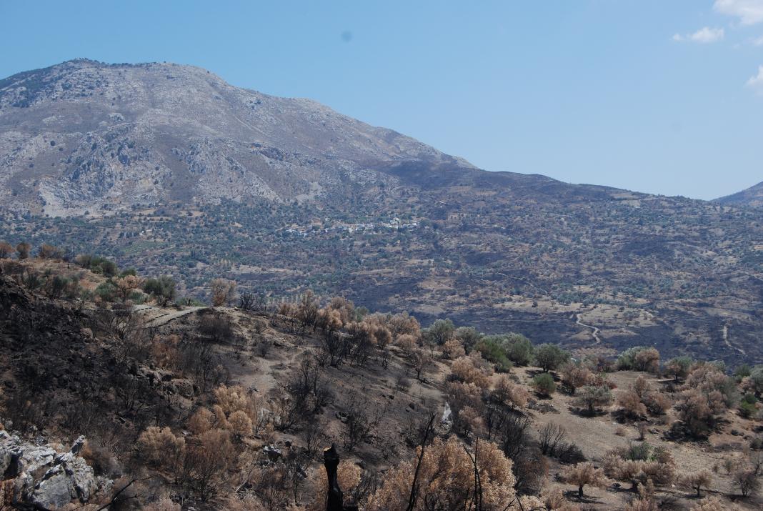 Δήμος Αμαρίου: Αυτοψία κλιμακίου ΣΕΔΗΚ και Ινστιτούτου Ελιάς στις πυρόπληκτες περιοχές