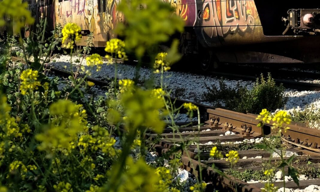 Ξεκινά εισαγγελική έρευνα μετά τα πλάνα με αγνώστους να λεηλατούν τον σιδηροδρομικό σταθμό