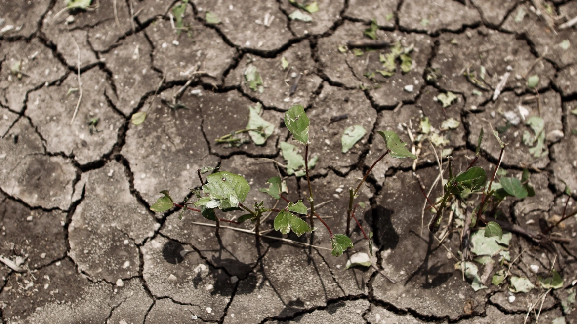 Αναβαθμίζεται το πρόγραμμα προστασίας από το χαλάζι με εναέρια μέσα