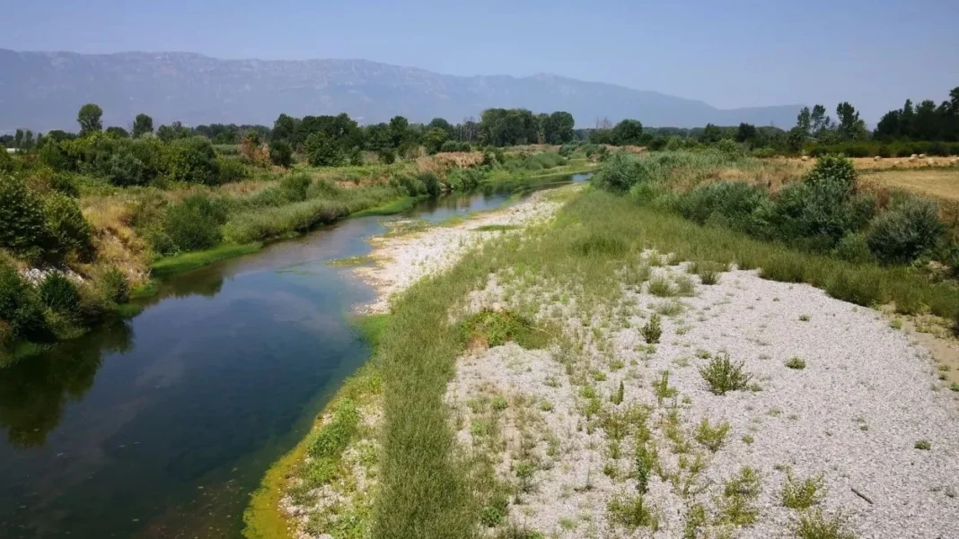 «Ρυάκι» ο Πηνειός ποταμός σε ορισμένα σημεία λόγω και της ξηρασίας – Ειδικός εξηγεί τα αίτια