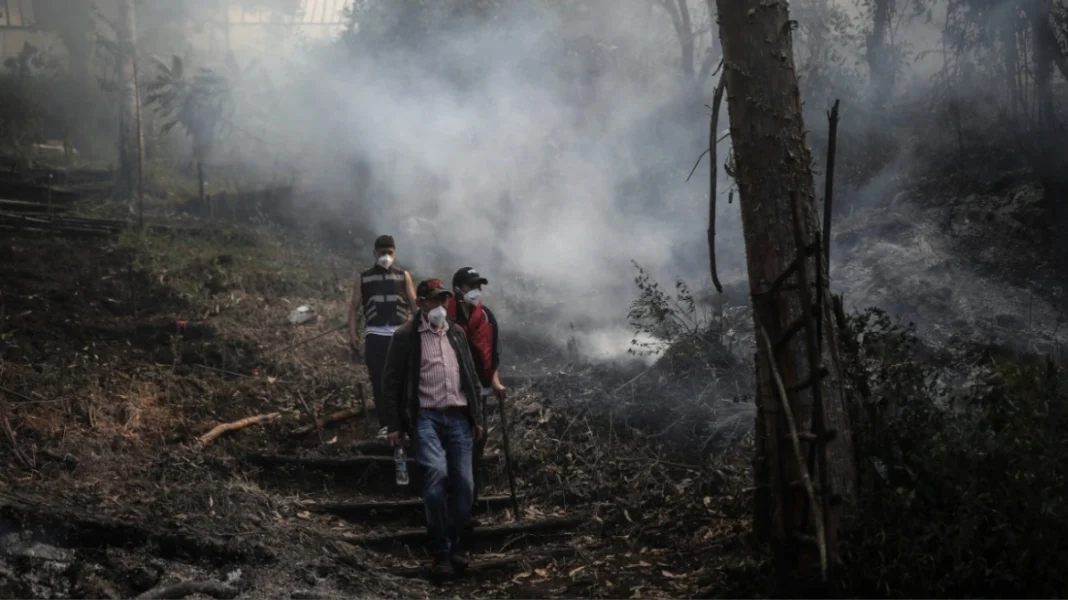 Πυρκαγιές στην Κολομβία: Πάνω από 90.000 στρέμματα στάχτη