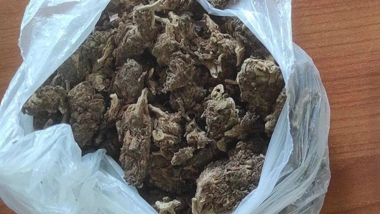 Συνελήφθη 22χρονος με 10 κιλά κάνναβη – Είχε κρύψει τα ναρκωτικά στο αυτοκίνητο