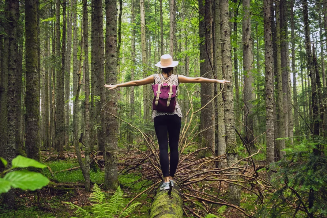 Forest bathing: Όλα τα οφέλη μιας φθινοπωρινής βόλτας στη φύση