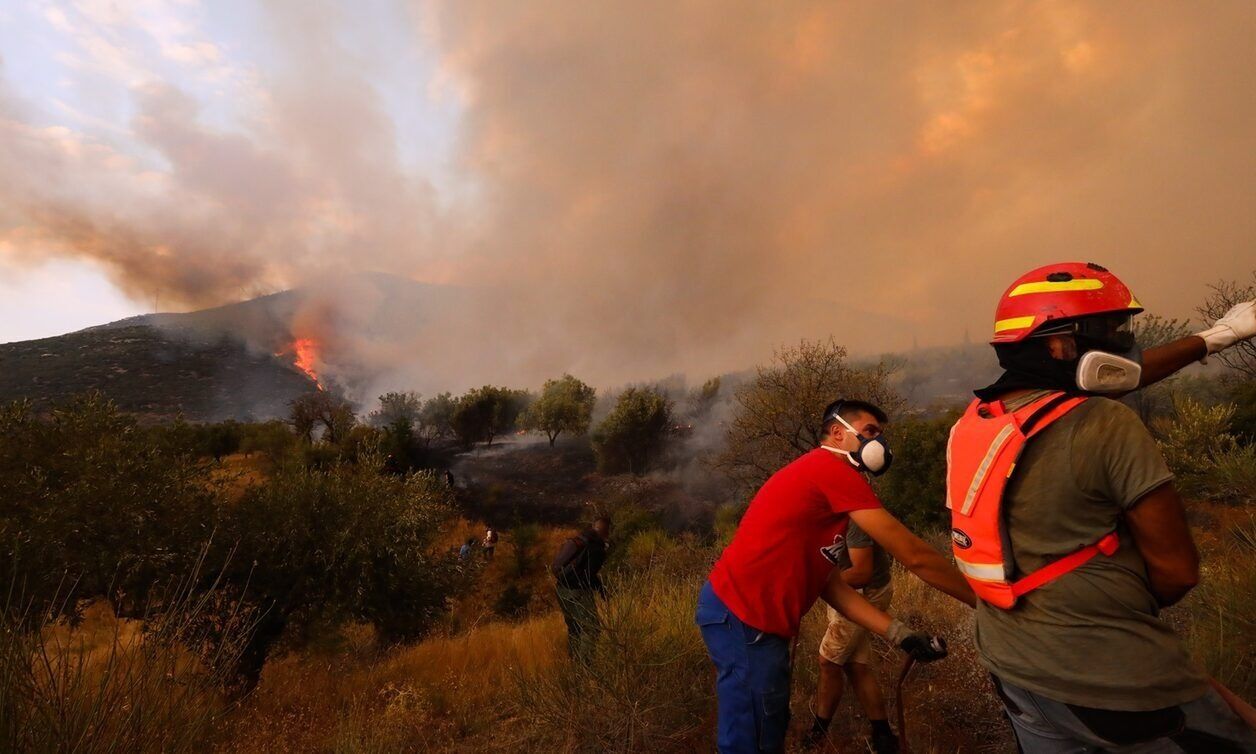 Νέα σύλληψη για πυρκαγιά από πρόθεση σε χαμηλή βλάστηση εντός οικοπέδου