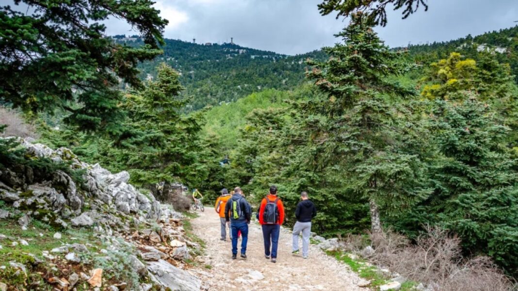Επιχείρηση διάσωσης πέντε ατόμων στην Πάρνηθα - Μια κοπέλα ένιωσε αδιαθεσία