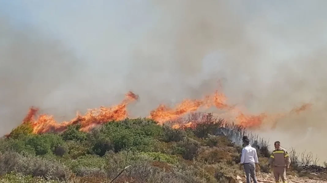 Εμπρηστής αποφυλακίστηκε και προκάλεσε ξανά πυρκαγιές