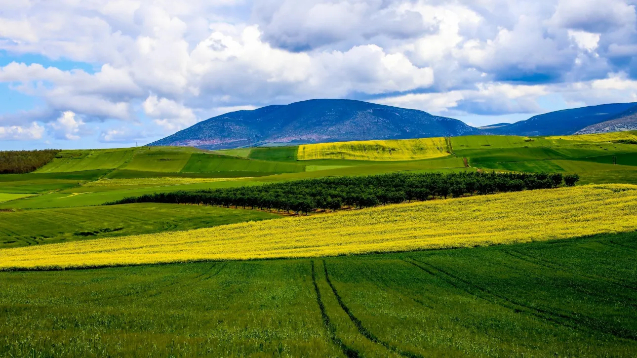 Κίνδυνος ερημοποίησης: Πώς αλλάζει η κλιματική κρίση τον αγροτικό «χάρτη»
