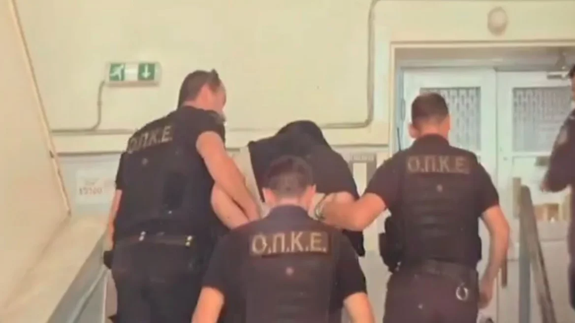 Προφυλακίστηκε ο 31χρονος που σκότωνε αδέσποτα ζώα στον Βόλο – Τον περίμεναν φιλόζωοι έξω από το δικαστήριο