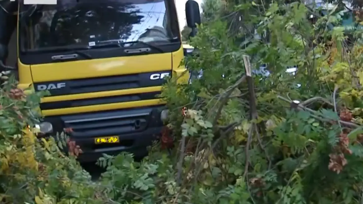 Φορτηγό έπεσε πάνω σε δέντρο