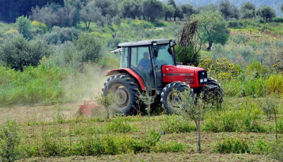 Μελέτη της Greenpeace: Στην Ελλάδα χάθηκε το 31% των αγροκτημάτων