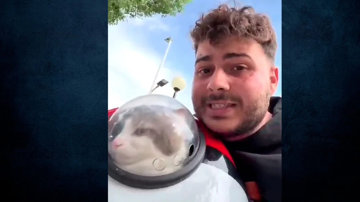 Οδηγός πέταξε από το λεωφορείο επιβάτη επειδή είχε μαζί τη γάτα του!