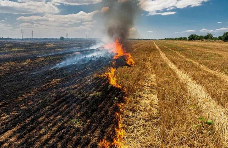 Πρόστιμα από την Πυροσβεστική για καύση στην ύπαιθρο