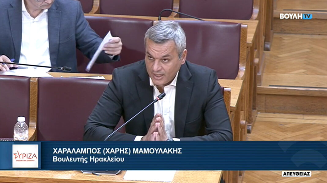 Χάρης Μαμουλάκης: «Οι έμμεσοι φόροι είναι οι πιο άδικοι φόροι»