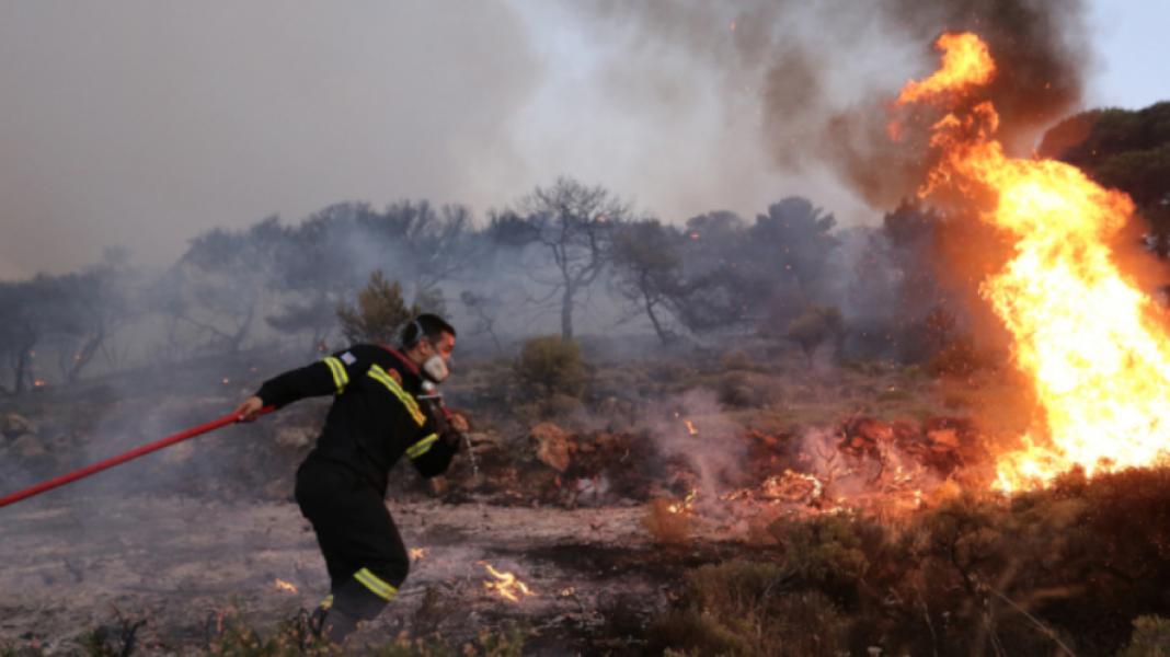 Πυροσβεστική: 43 αγροτοδασικές πυρκαγιές το τελευταίο 24ωρο – Σύλληψη και επιβολή προστίμου για την πυρκαγιά