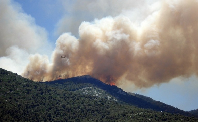 Αισιόδοξοι οι ειδικοί για τη διαχείριση πυρκαγιών στο μέλλον