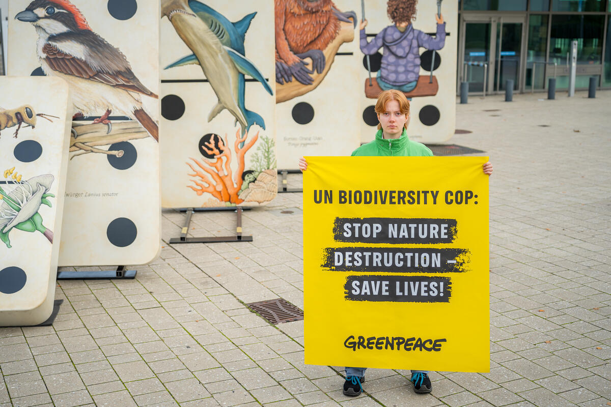 Greenpeace: Η Διάσκεψη για τη βιοποικιλότητα του ΟΗΕ (COP16) είναι μία ευκαιρία για την αναγέννηση της φύσης