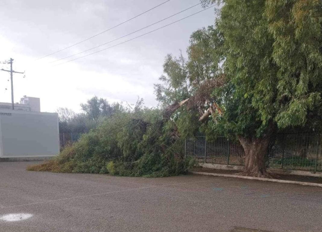 Ηράκλειο: Μεγάλο κλαδί δέντρου έπεσε στην αυλή δημοτικού σχολείου