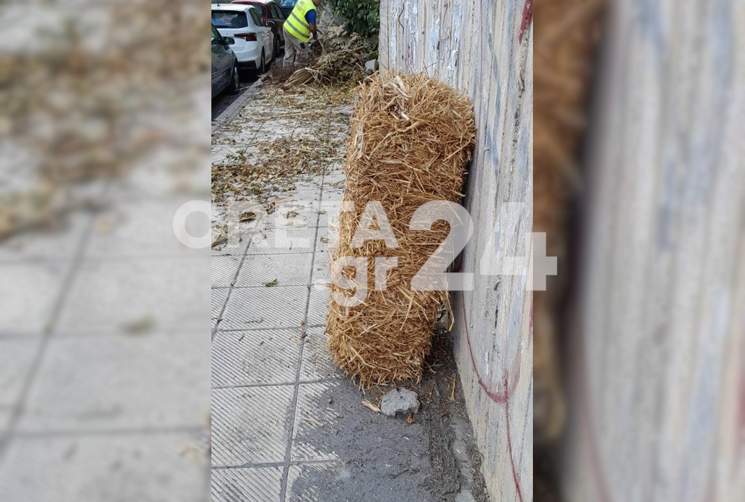 Σανό στην Εθνικής Αντιστάσεως – Τι μας ταϊζουν;