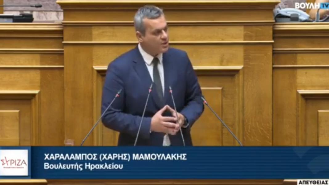 Χ. Μαμουλάκης: Η οικονομική πολιτική της ΝΔ οδηγεί σε μείωση του εισοδήματος των Ελλήνων πολιτών